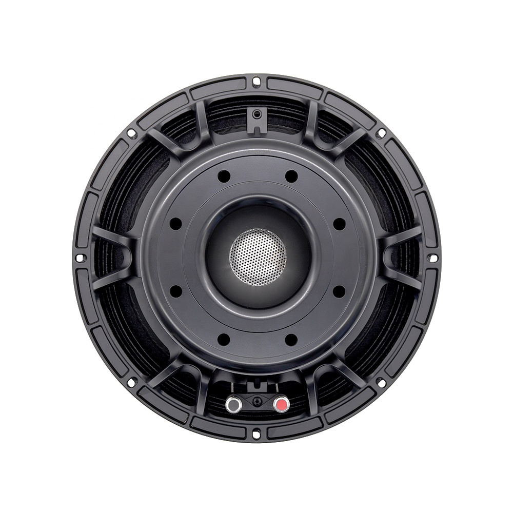 Speakers - 12DS Pro Audioapparatuur 12'' Speaker Goede