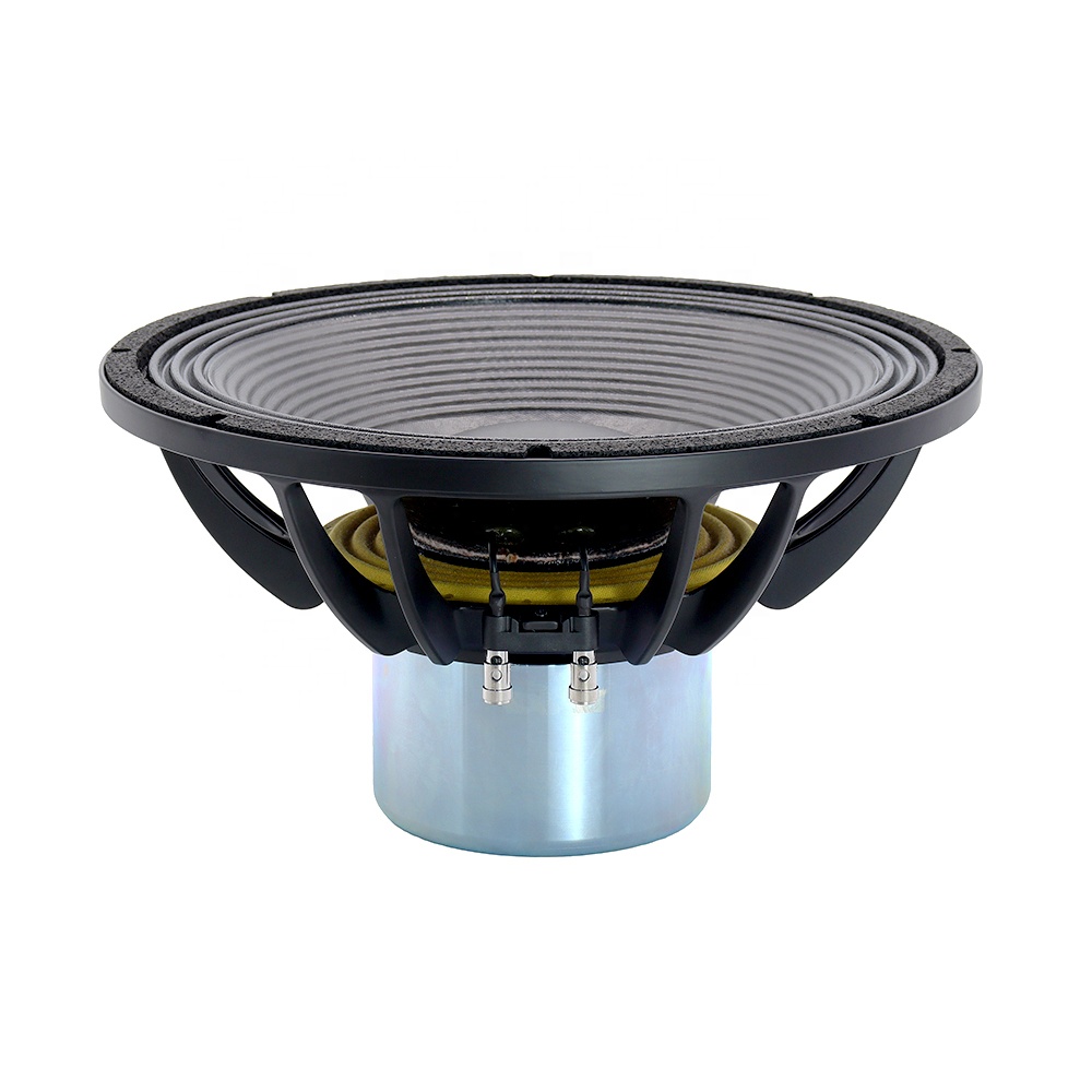 15IPAL Nieuwe Professionele Au - Speakers recensie en prijs