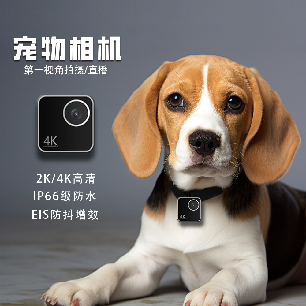 Dierencamera, katten- en honde - Cameras recensie en prijs