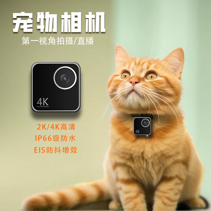 Dierencamera, katten- en honde - Cameras recensie en prijs