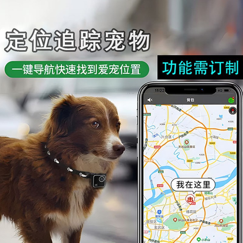 Dierencamera, katten- en honde - Cameras recensie en prijs