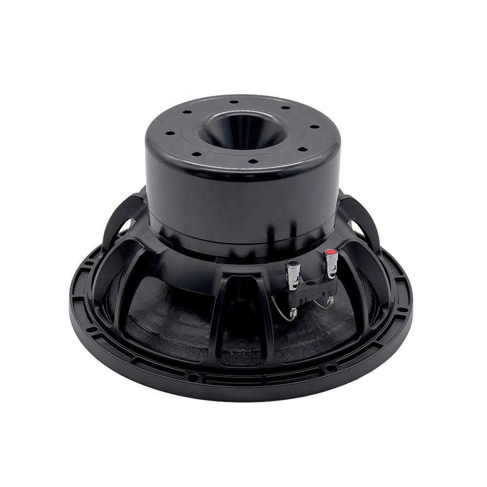 12DS Pro Audioapparatuur 12''  - Speakers recensie en prijs
